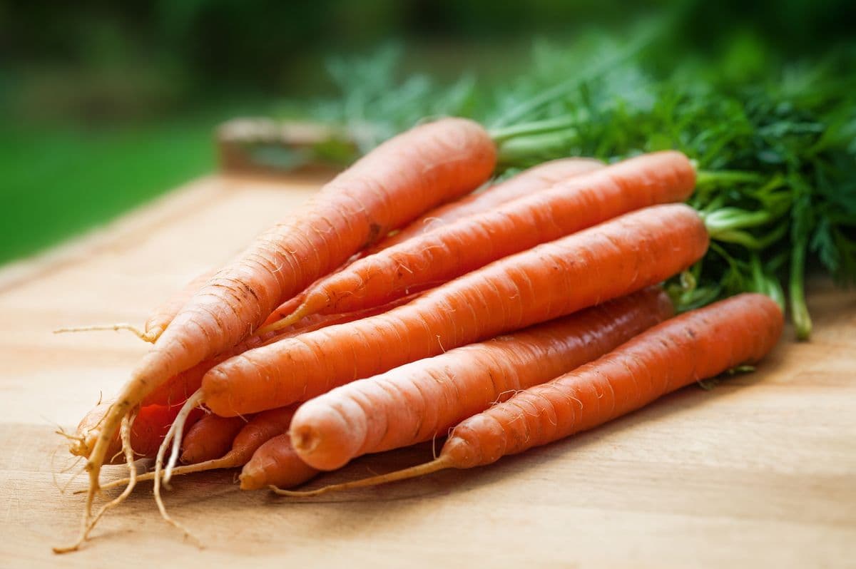 Fresh farm carrots representing health, authenticity, and natural quality